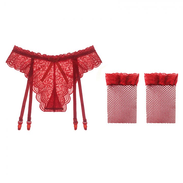 Sexy perspective garter enticement briefs a set for women