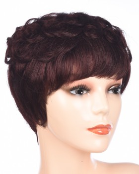 Brown middle-aged human hair fluffy wig
