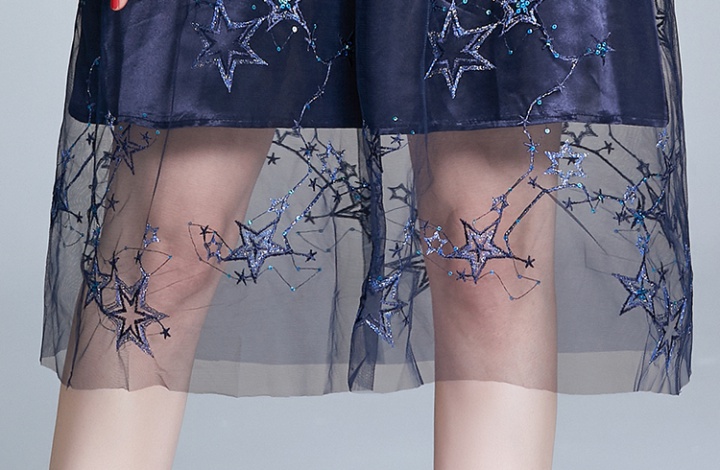 Embroidered pinched waist round neck stars fashion dress