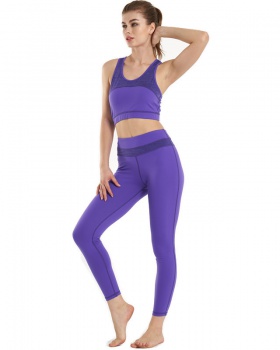Sports wicking seamless fitness pants a set for women