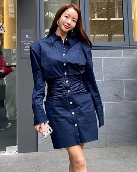 Korean style slim autumn dress long pinched waist coat