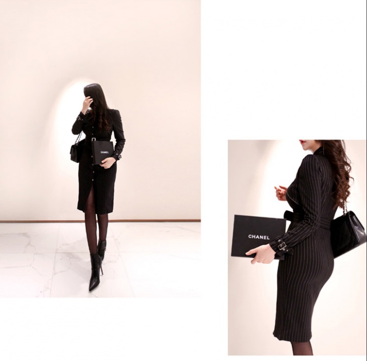 Long temperament Korean style autumn profession slim dress