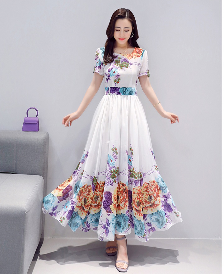 Pinched waist chiffon long dress printing dress