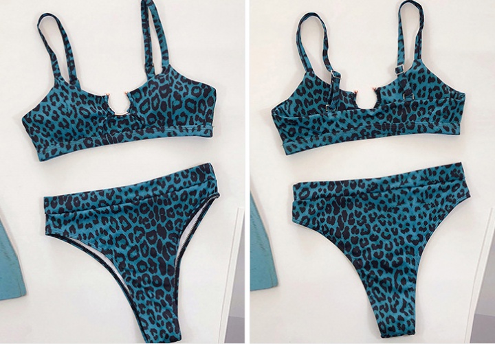 High waist bikini European style leopard sexy swimwear