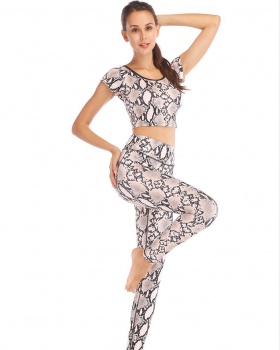 Yoga autumn hip raise wicking long pants 2pcs set for women