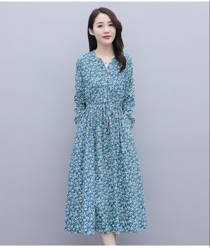 Long long sleeve loose printing autumn dress for women