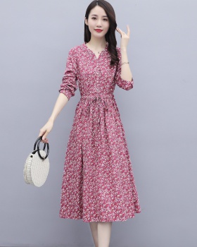 Long long sleeve loose printing autumn dress for women