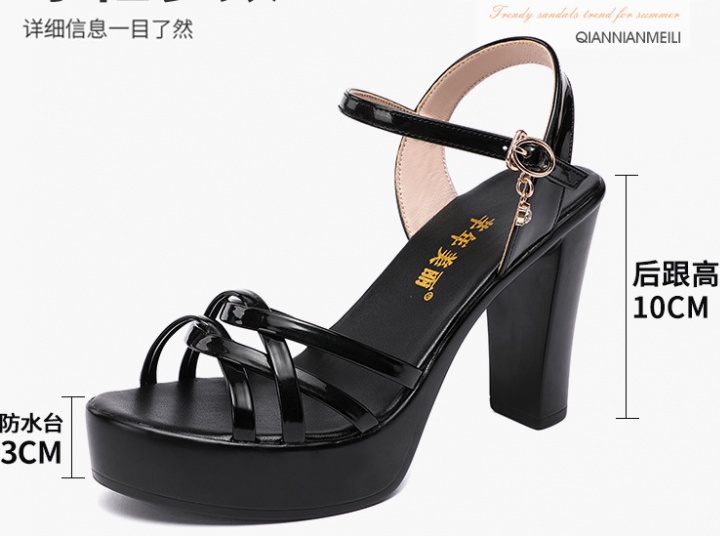 Open toe thick crust sandals high-heeled platform for women