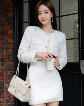 Fashion and elegant winter skirt short tops 2pcs set