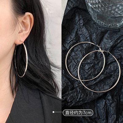 Simple accessories geometry earrings for women