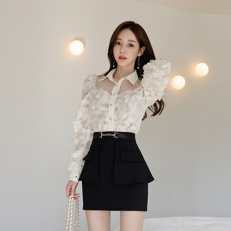 Korean style shirt lapel skirt 2pcs set for women
