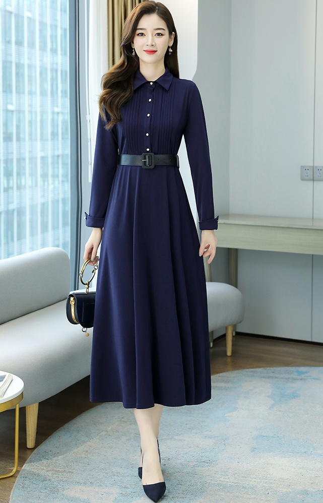 Slim Korean style long sleeve fashion dress for women