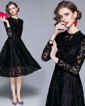 Embroidered gauze lace dress