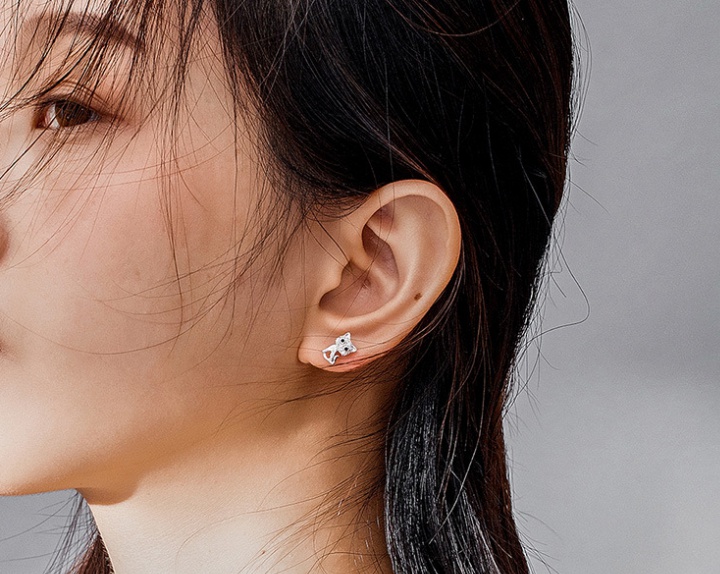 Fashionable earrings temperament stud earrings
