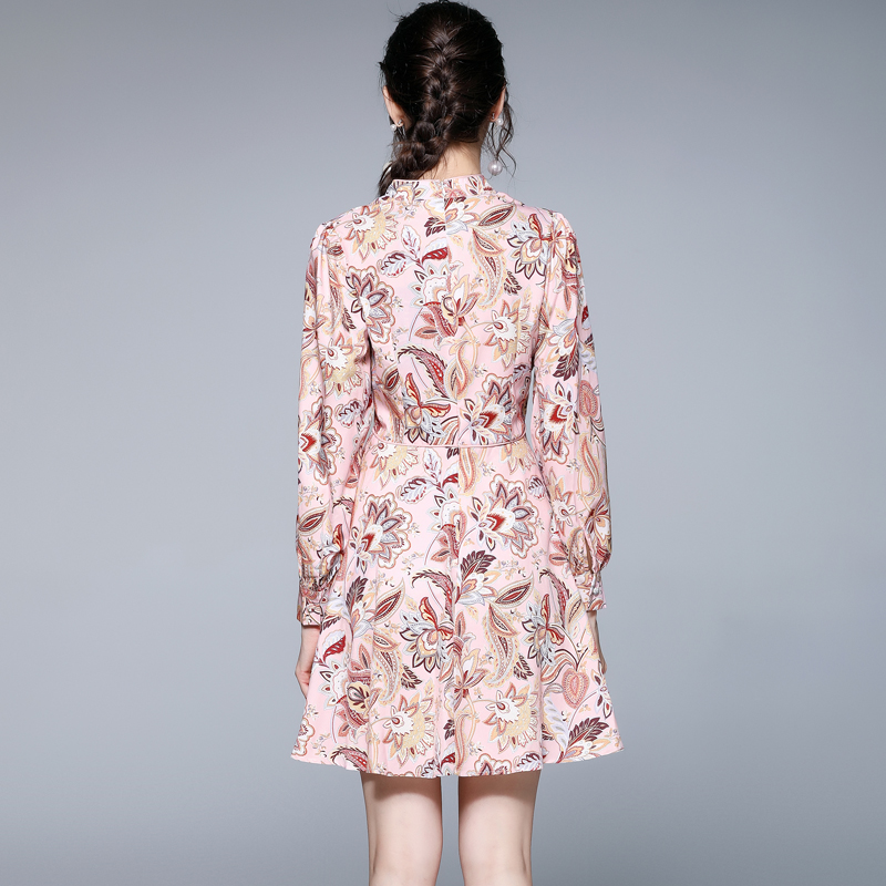Retro spring long sleeve France style printing dress