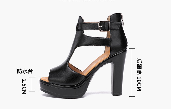 Summer high-heeled platform open toe sandals for women