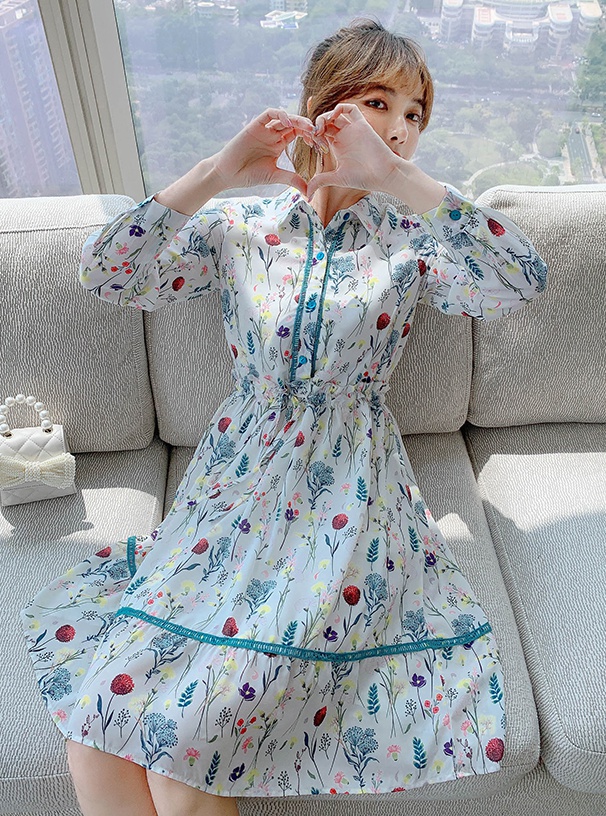 Floral chiffon long sleeve spring and autumn dress for women