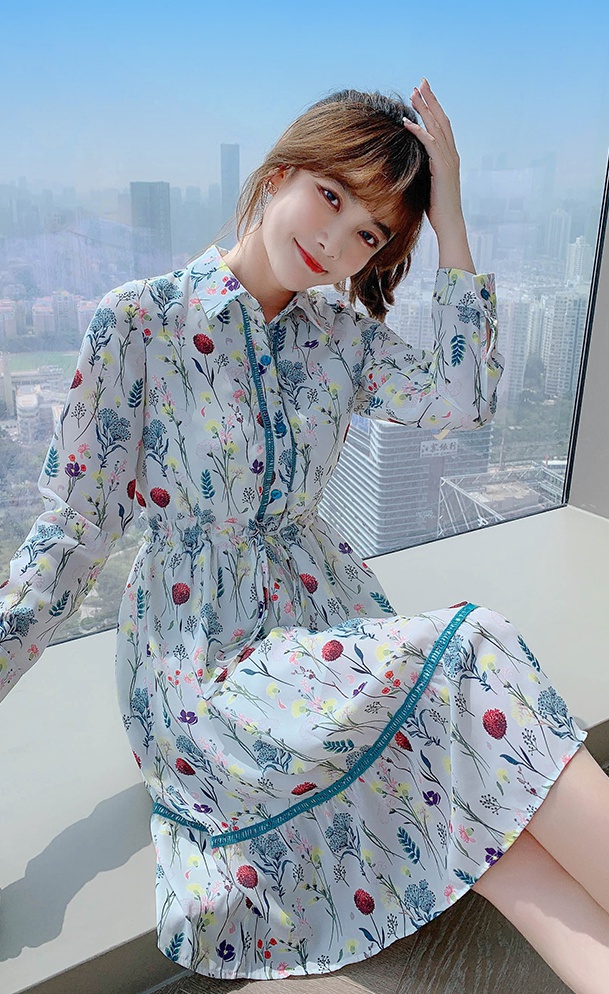 Floral chiffon long sleeve spring and autumn dress for women