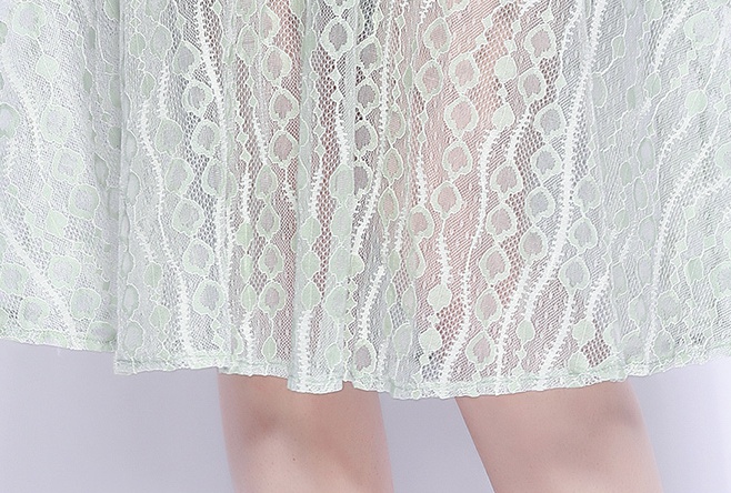 Short sleeve summer refreshing lace dress