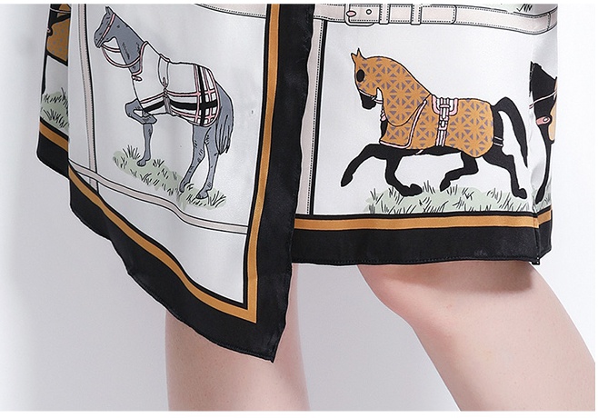 Irregular short sleeve skirt package hip T-shirt 2pcs set