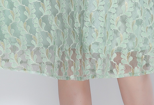 Short sleeve lace dress