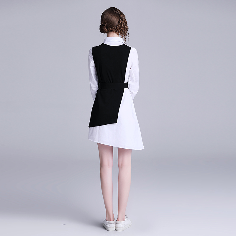 Fashion autumn dress long irregular waistcoat 2pcs set for women