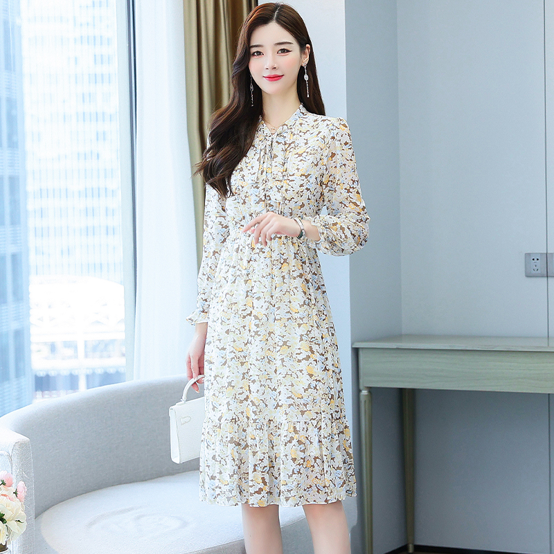 Pinched waist spring and autumn chiffon dress for women