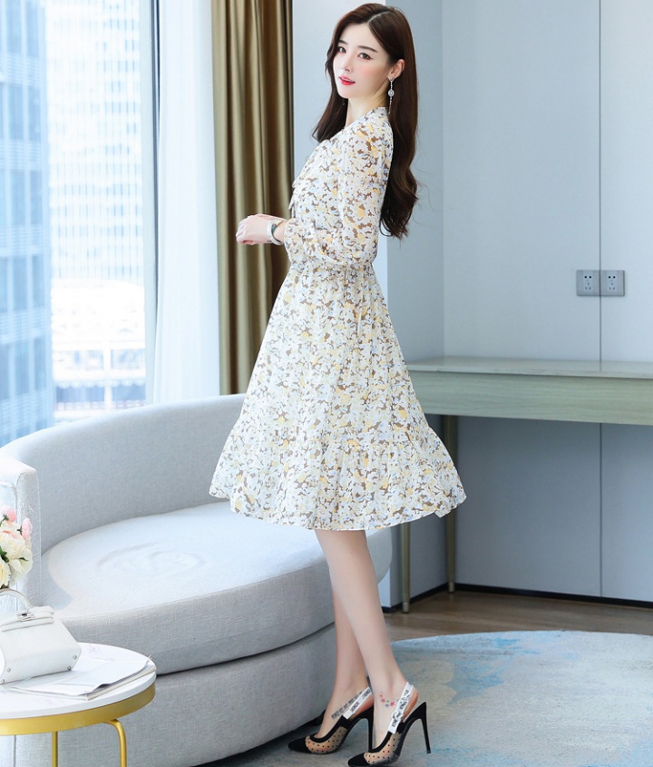 Pinched waist spring and autumn chiffon dress for women