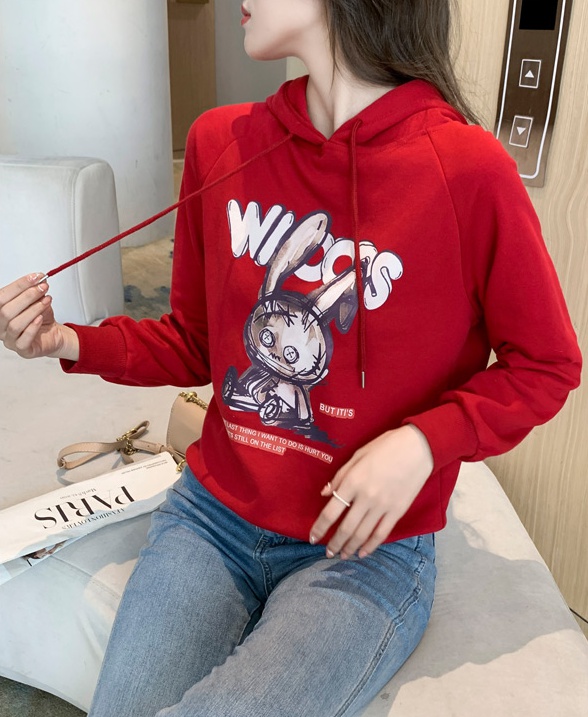 Korean style hooded hoodie printing tops for women