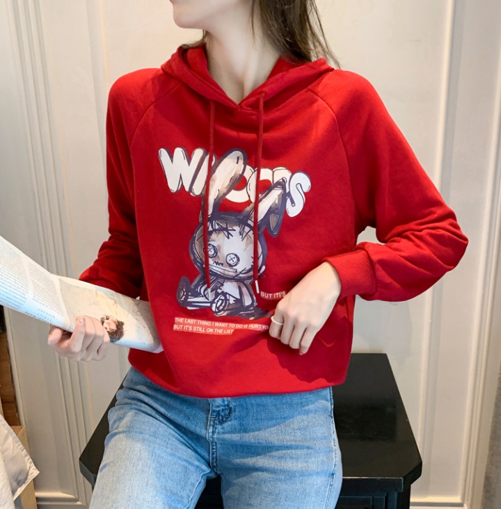 Korean style hooded hoodie printing tops for women