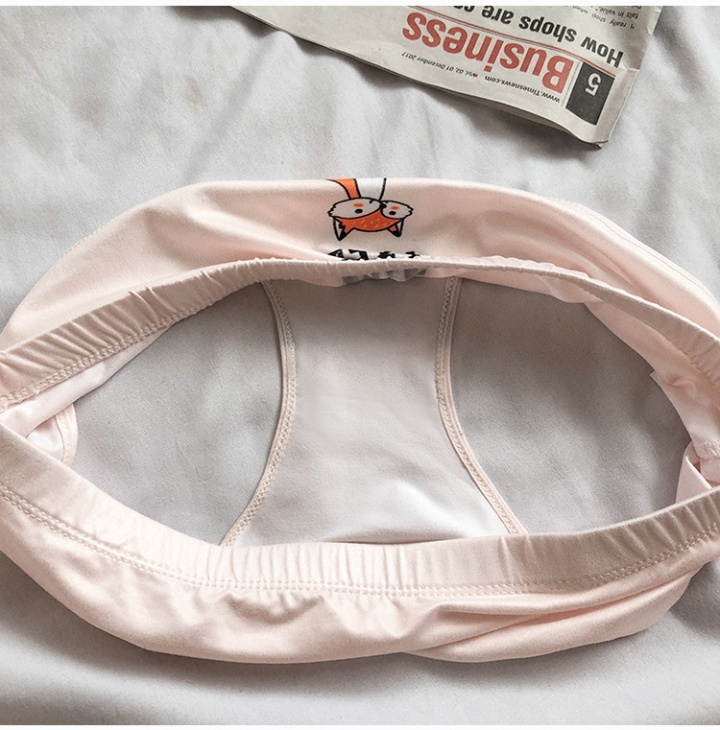 Package hip student simple letters small fox briefs
