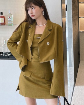 Long sleeve coat slim dress 2pcs set for women