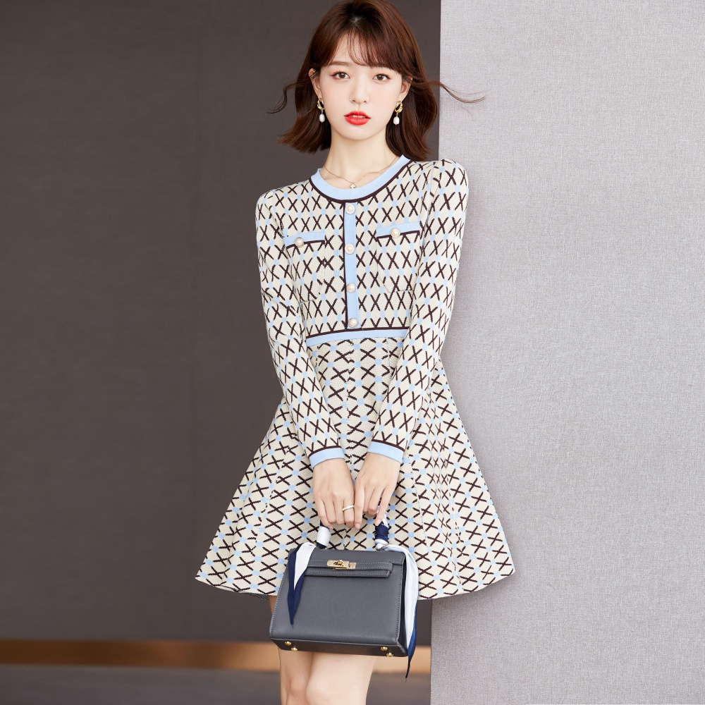 Temperament France style pinched waist dress for women