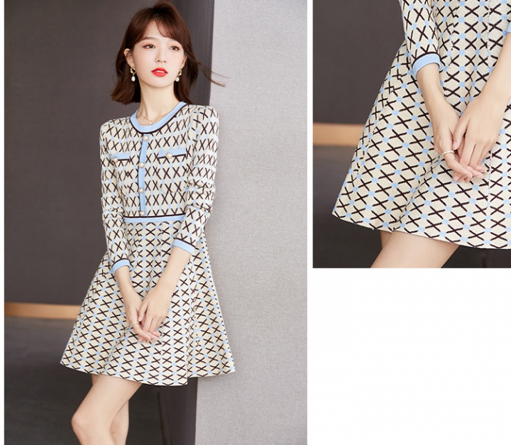 Temperament France style pinched waist dress for women