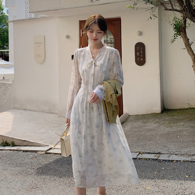 Printing Korean style long temperament autumn dress