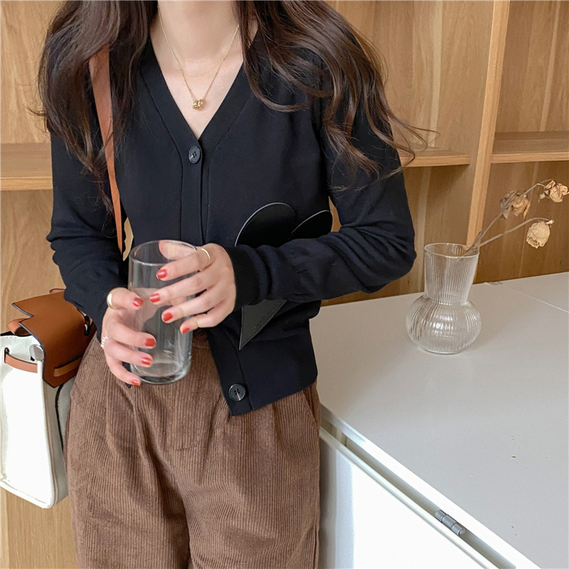 Autumn V-neck cardigan knitted Korean style sweater