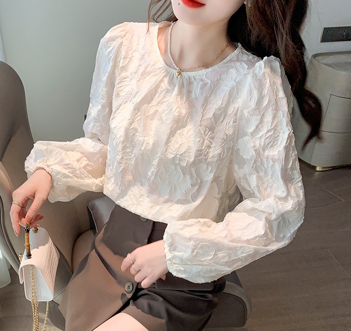 Autumn and winter tops embroidered shirt for women