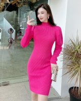 Knitted long sleeve Korean style high collar bottoming dress