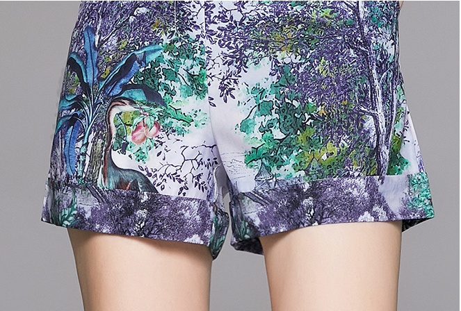 Autumn temperament shirt fashion summer shorts 2pcs set
