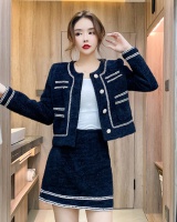 Mink velvet winter coat mixed colors short skirt 2pcs set