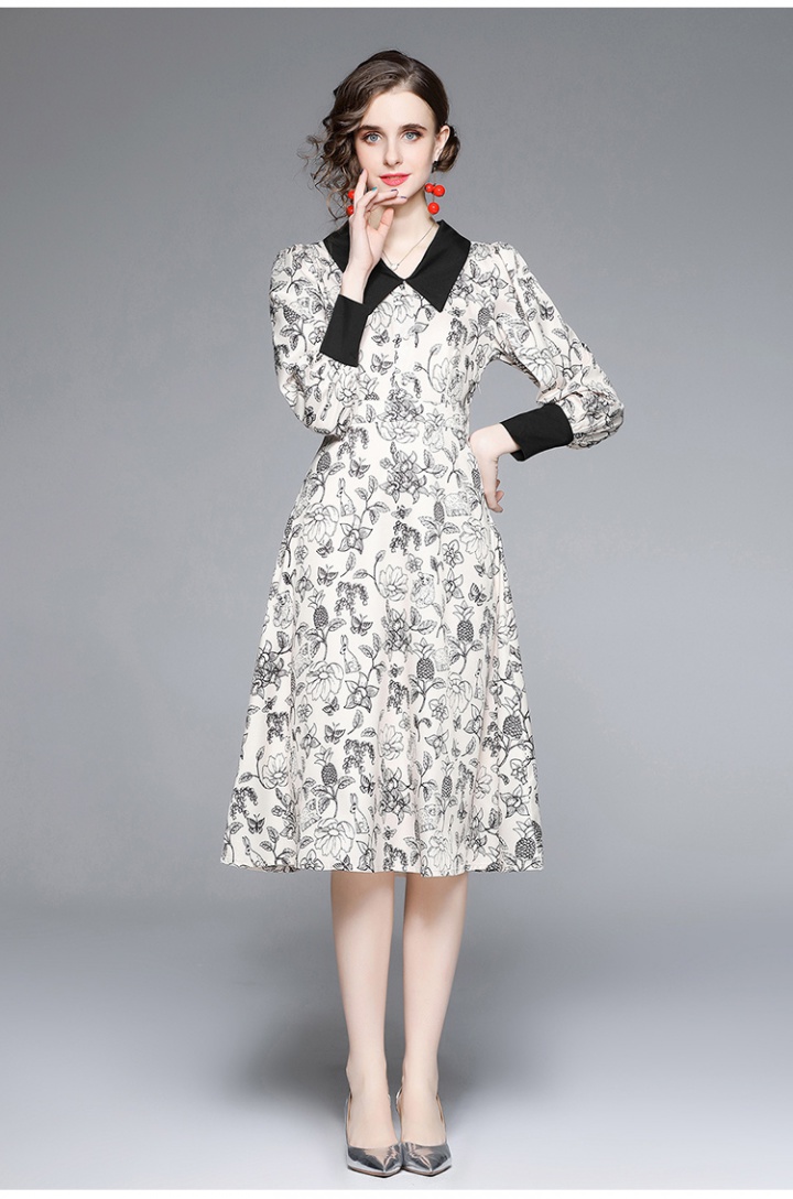 Autumn and winter long dress printing dress for women
