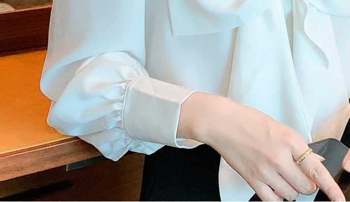 Long sleeve spring chiffon shirt white shirt for women