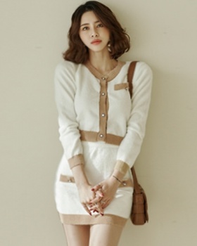 Mixed colors tops Korean style skirt 2pcs set
