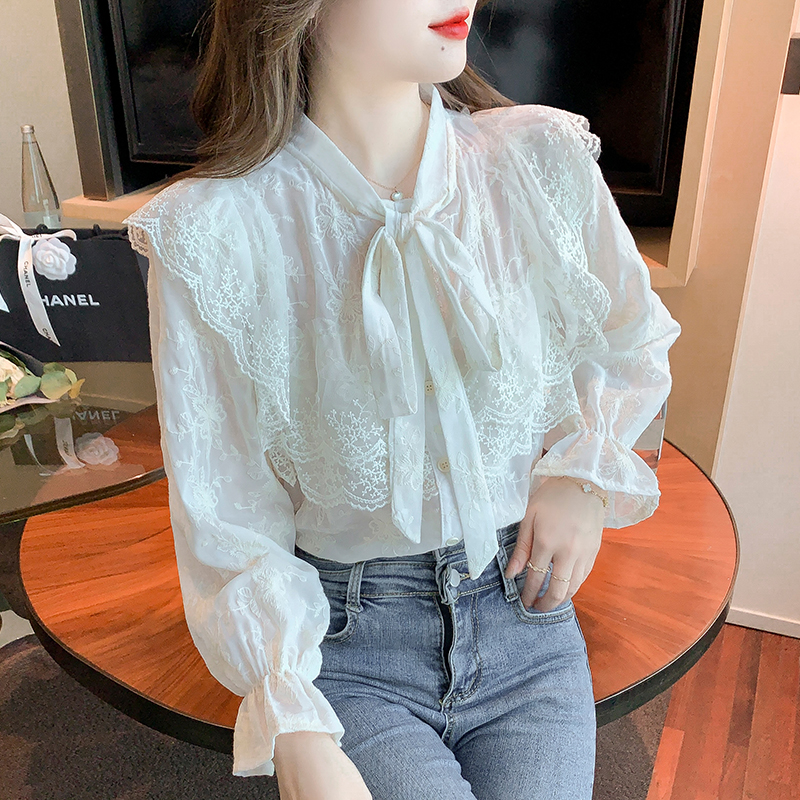 Spring embroidery chiffon lace tops