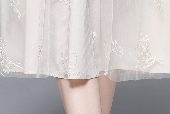 Big skirt pinched waist long sleeve sequins gauze dress