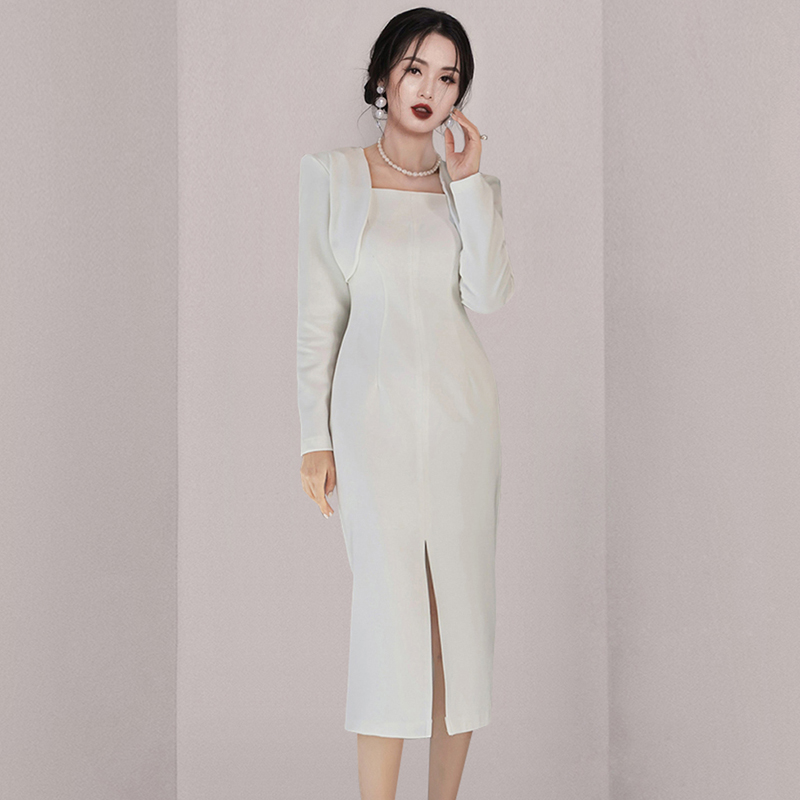 Spring slim long dress package hip Korean style dress