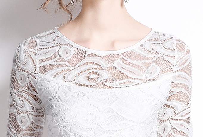 Lace autumn embroidery dress