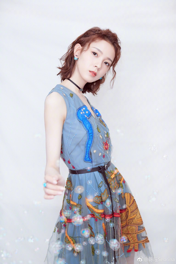 Embroidery sleeveless dress dress for women
