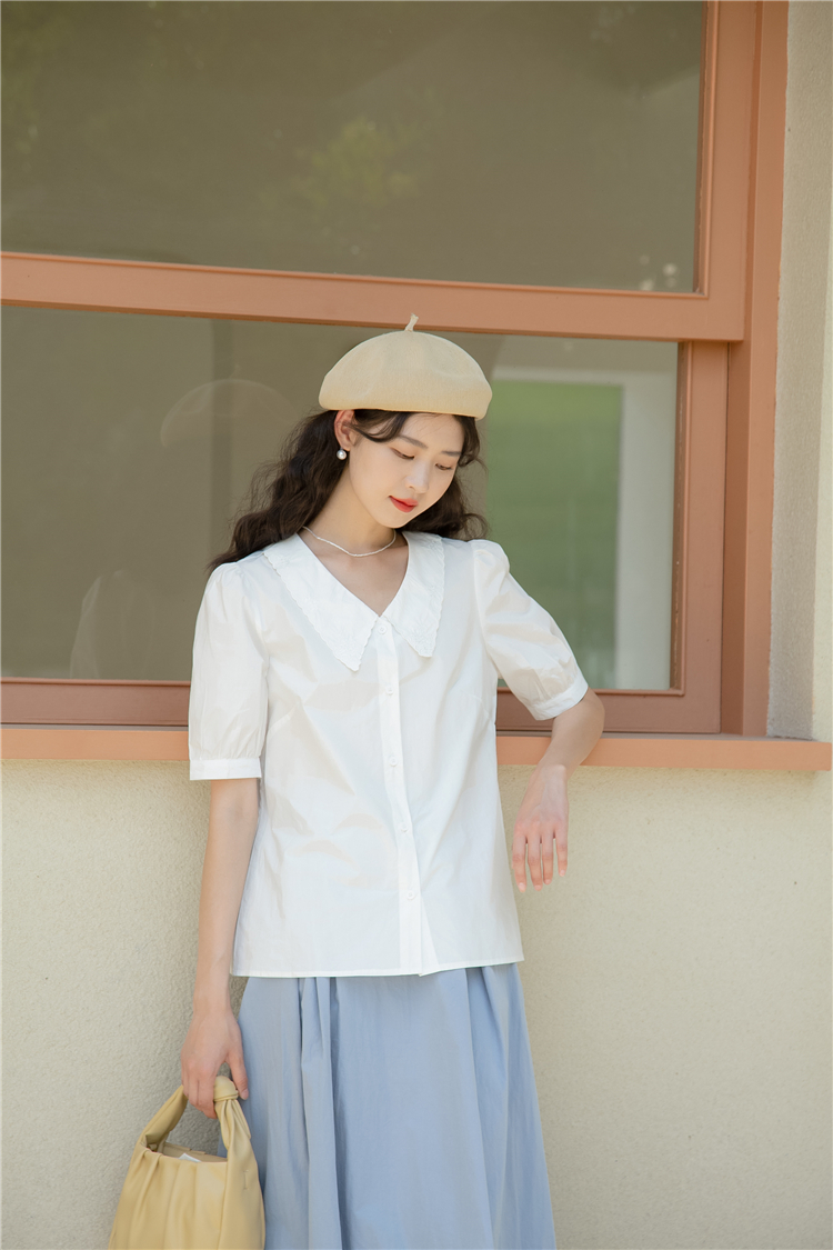 Short sleeve V-neck all-match embroidery chiffon shirt