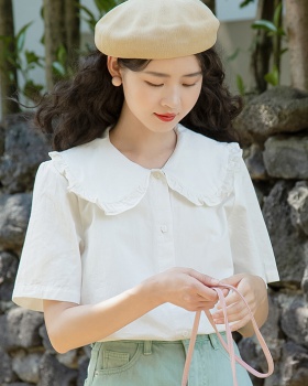 Short sleeve V-neck all-match embroidery chiffon shirt
